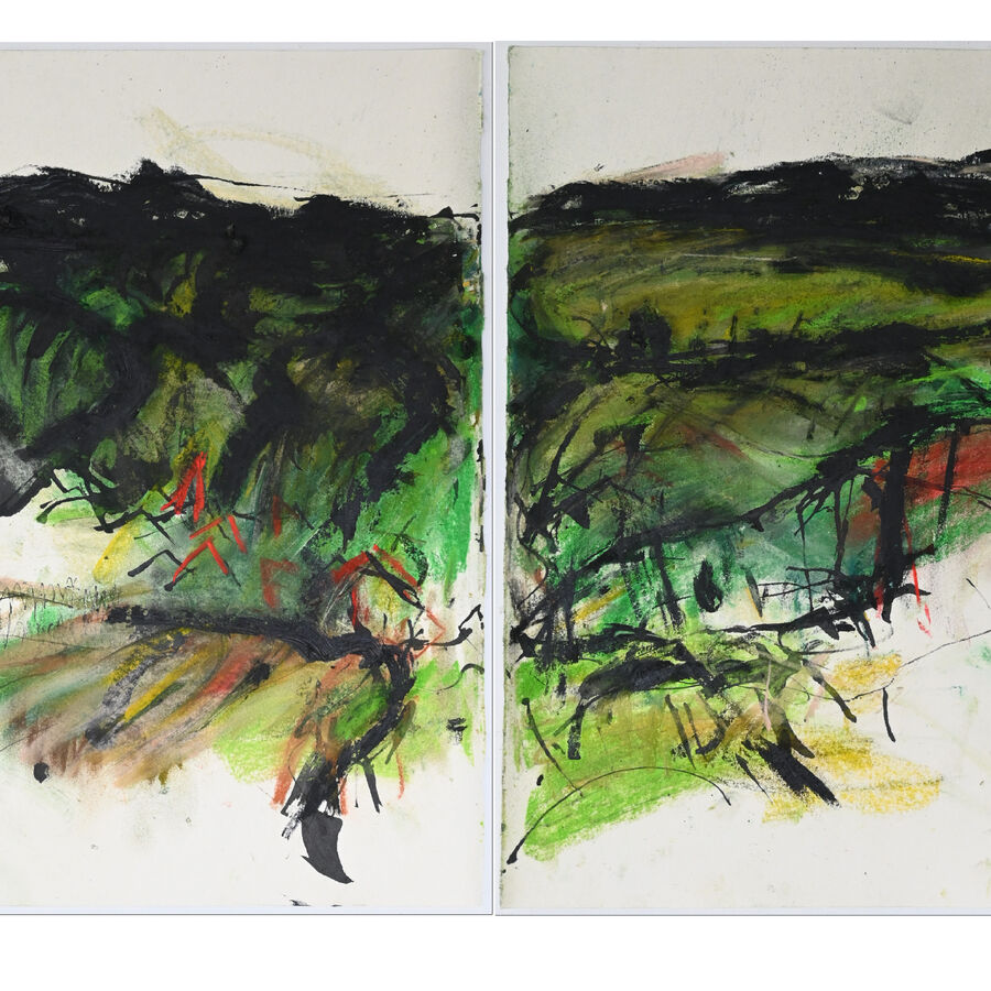 Sabine Seemann, aalen I, 2020, Kreide, Ölwachs, Tusche a. Papier, 30,4x54 cm